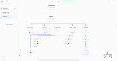 CausalFlow: A Visual Workbench for Bayesian Networks